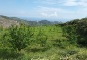 Terreny no urbanitzable en venda a Nerja ref.: TR69739 foto