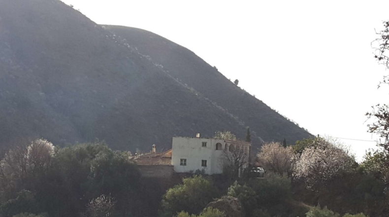 Granada - Los Carlos - 260000m2
