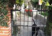 Finca rústica en venda a Lújar ref.: TR69950 foto