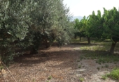 Дом с участком на продажу в городе Motril. Фото