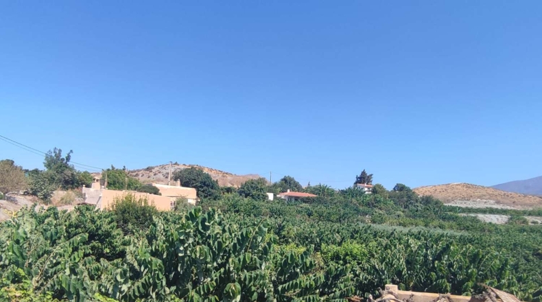Granada - Motril - 3962m2