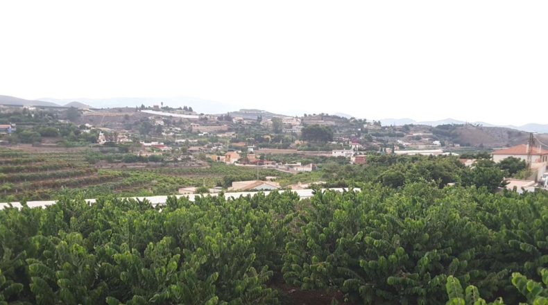 Granada - Motril - 3962m2