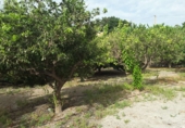 Дом с участком на продажу в городе Motril. Фото