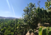 Дом с участком на продажу в городе Motril. Фото