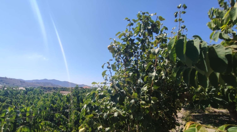 Granada - Motril - 3962m2