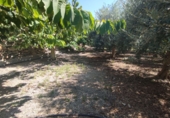 Дом с участком на продажу в городе Motril. Фото