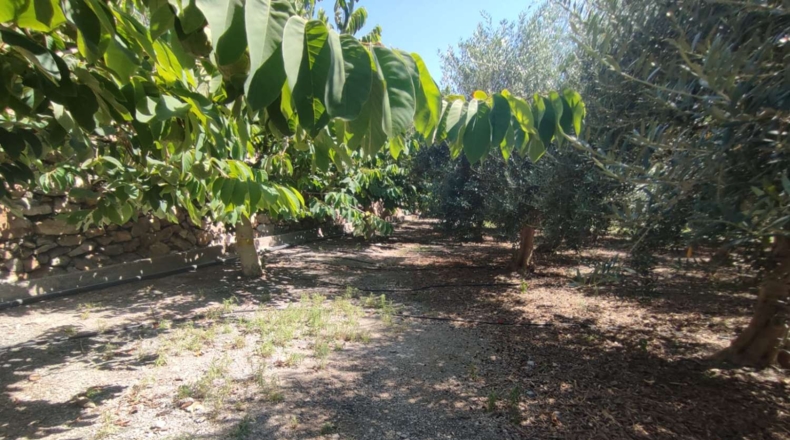 Granada - Motril - 3962m2