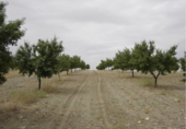 Villa with land for sale in Gor ref: TR69945 photo