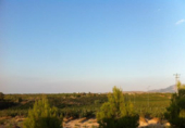 Villa with land for sale in Gor ref: TR69945 photo