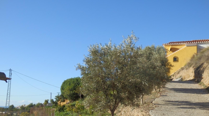 Málaga - Nerja - 2000m2