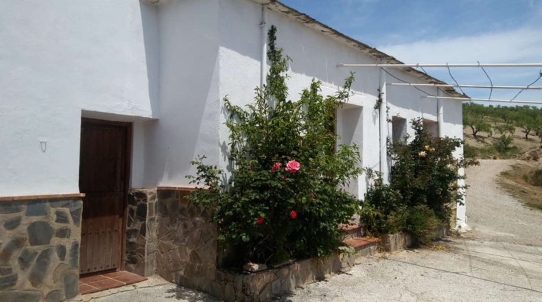 Granada - Torvizcón - 30000m2