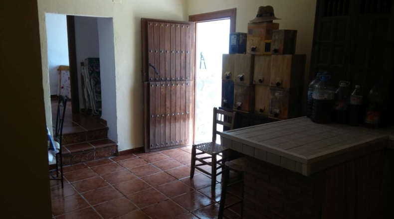 Granada - Torvizcón - 30000m2