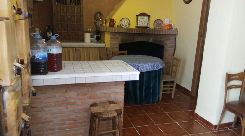 Granada - Torvizcón - 30000m2