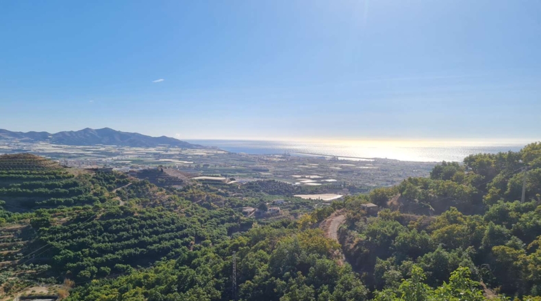 Granada - Motril - 10000m2
