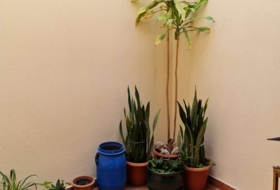 Foto 13