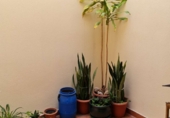 Casa de pueblo en venta en Motril ref: TR69932 foto