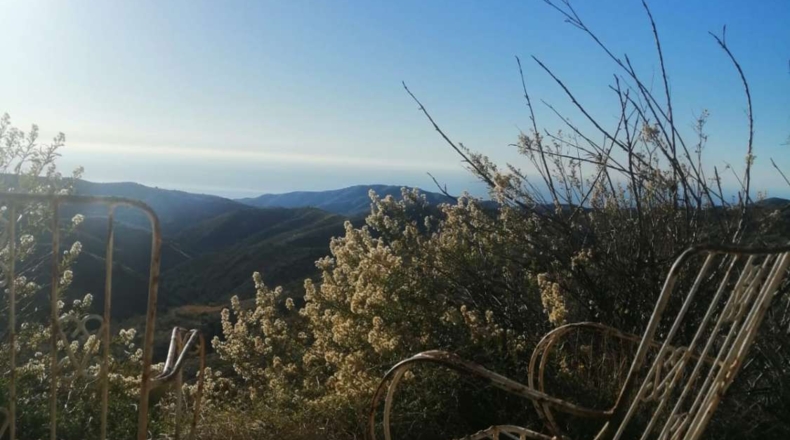 Granada - Salas-Contraviesa - 15000m2