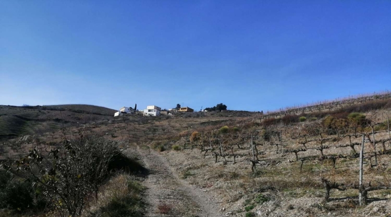 Granada - Salas-Contraviesa - 15000m2
