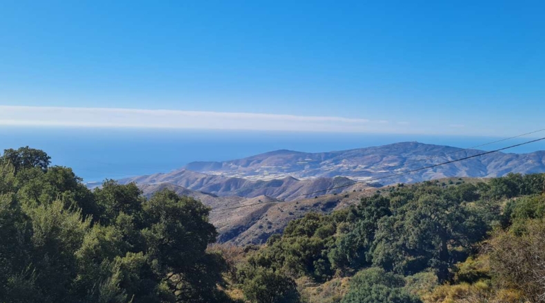 Granada - Salas-Contraviesa - 15000m2