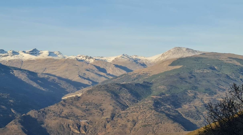 Granada - Salas-Contraviesa - 15000m2