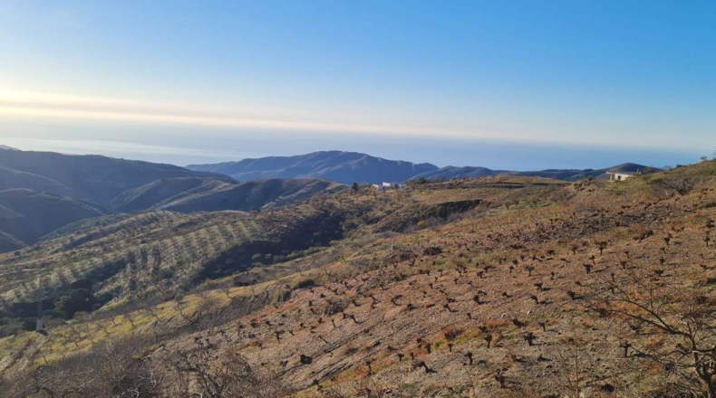 Granada - Salas-Contraviesa - 15000m2