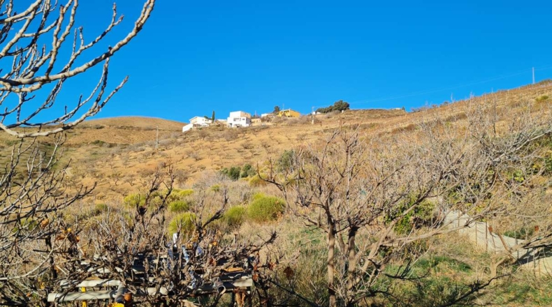 Granada - Salas-Contraviesa - 15000m2