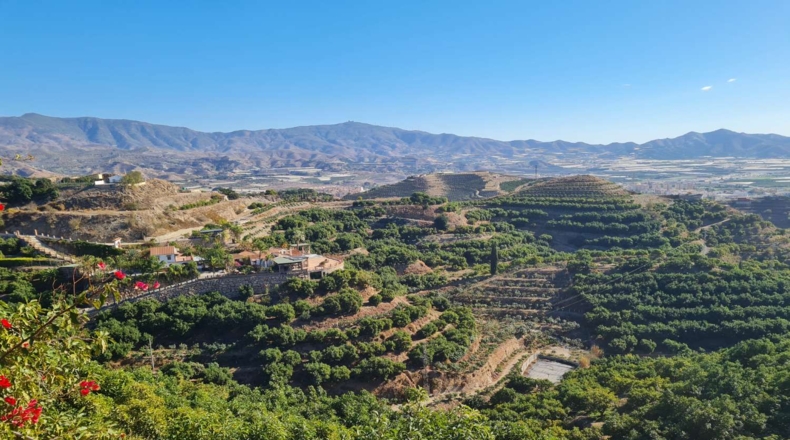 Granada - Motril - 5000m2