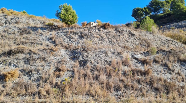 Granada - Molvízar - 7708m2