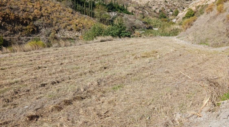 Granada - Molvízar - 7708m2
