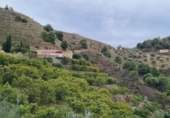 Finca rústica en venda a Almuñécar ref.: TR99645 foto