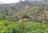 Finca rústica en venda a Almuñécar ref.: TR99645 foto