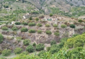 Finca rústica en venda a Almuñécar ref.: TR99645 foto