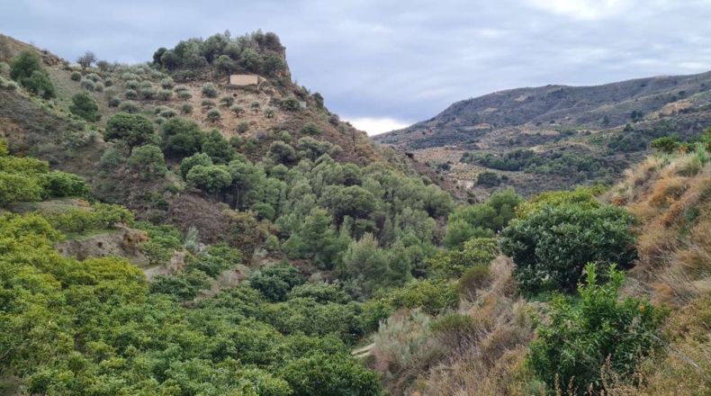 Granada - Río Seco - 24867m2