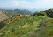 Terreny no urbanitzable en venda a Nerja ref.: TR110847 foto