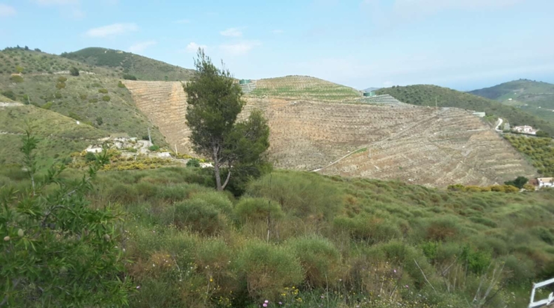 Málaga - Nerja - 11800m2