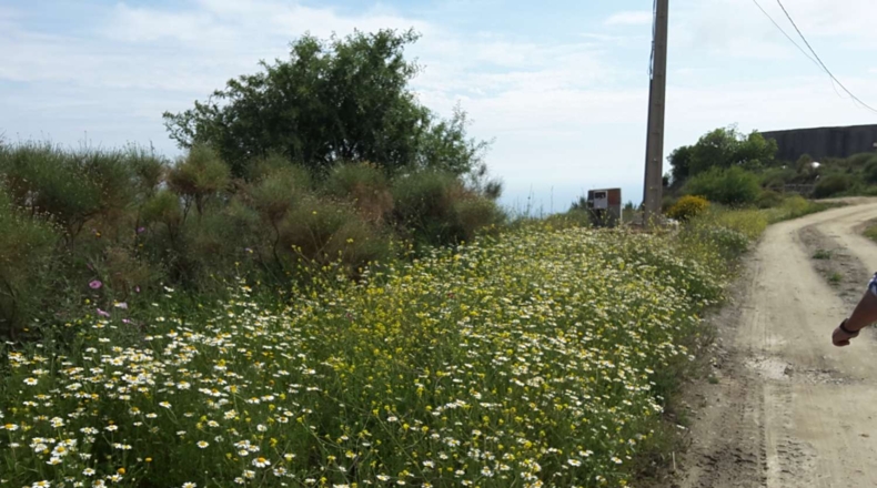 Málaga - Nerja - 11800m2