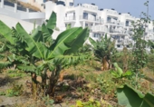 Vil·la amb terreny en venda a Nerja ref.: TR108551 foto