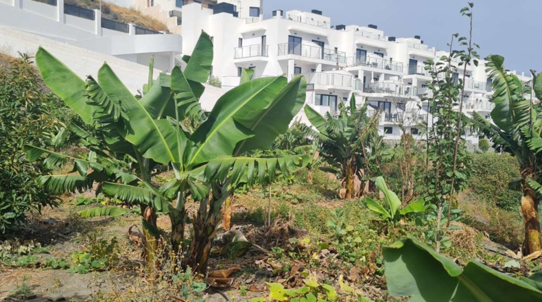 Málaga - Nerja - 300m2