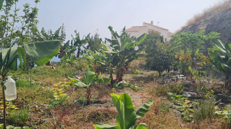 Málaga - Nerja - 300m2