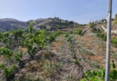 Vil·la amb terreny en venda a Nerja ref.: TR108551 foto