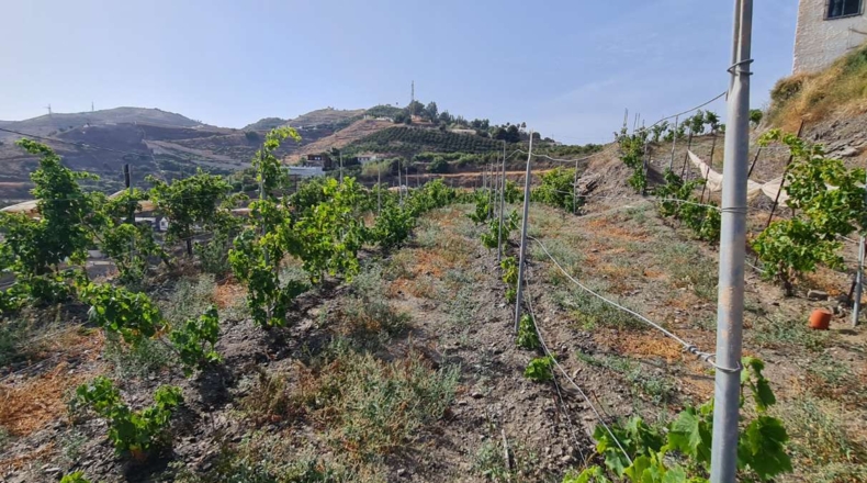 Málaga - Nerja - 300m2
