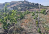 Vil·la amb terreny en venda a Nerja ref.: TR108551 foto
