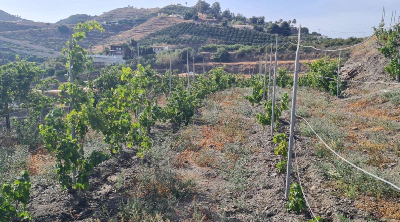 Málaga - Nerja - 300m2