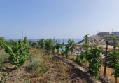 Vil·la amb terreny en venda a Nerja ref.: TR108551 foto