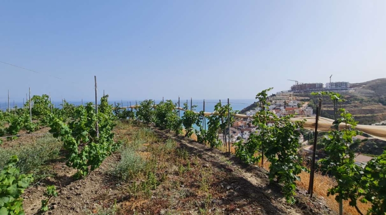 Málaga - Nerja - 300m2