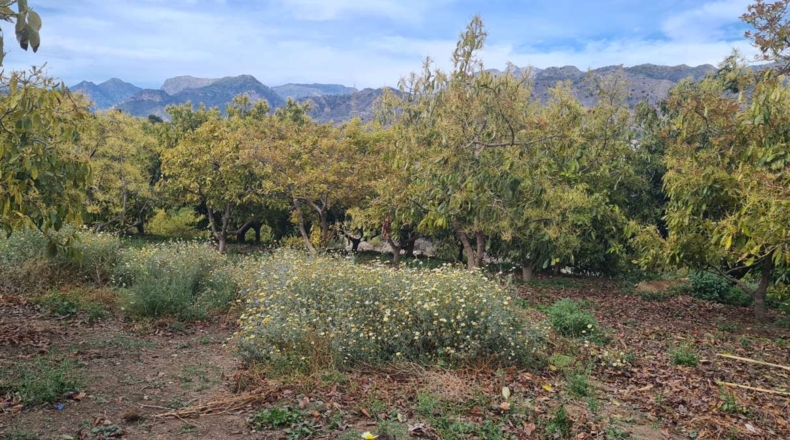 Málaga - Nerja - 3800m2