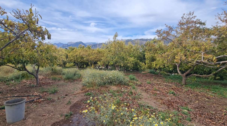Málaga - Nerja - 3800m2