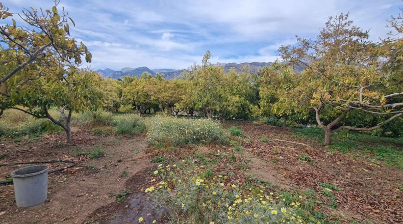 Málaga - Nerja - 3800m2