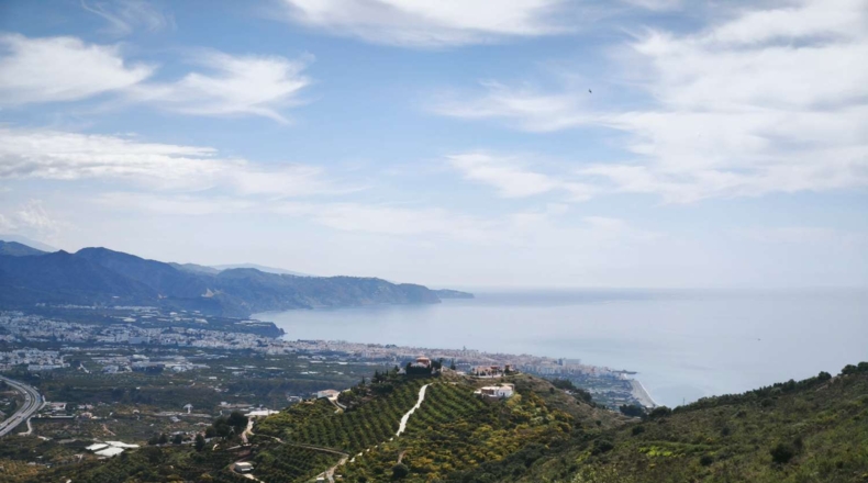 Malaga - Torrox - 40000m2