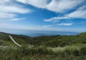 Земля на продажу у города Torrox. Фото